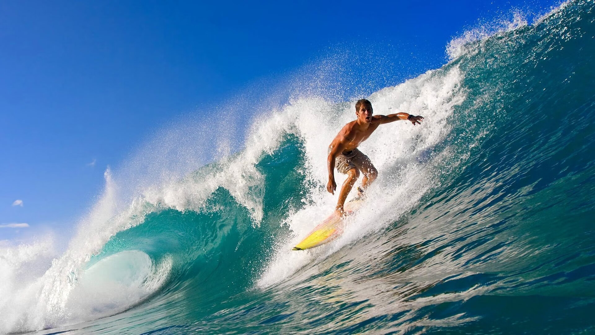 绿茵场外的奇迹，当澳大利亚掀翻尼斯成为欧冠决赛的另类焦点