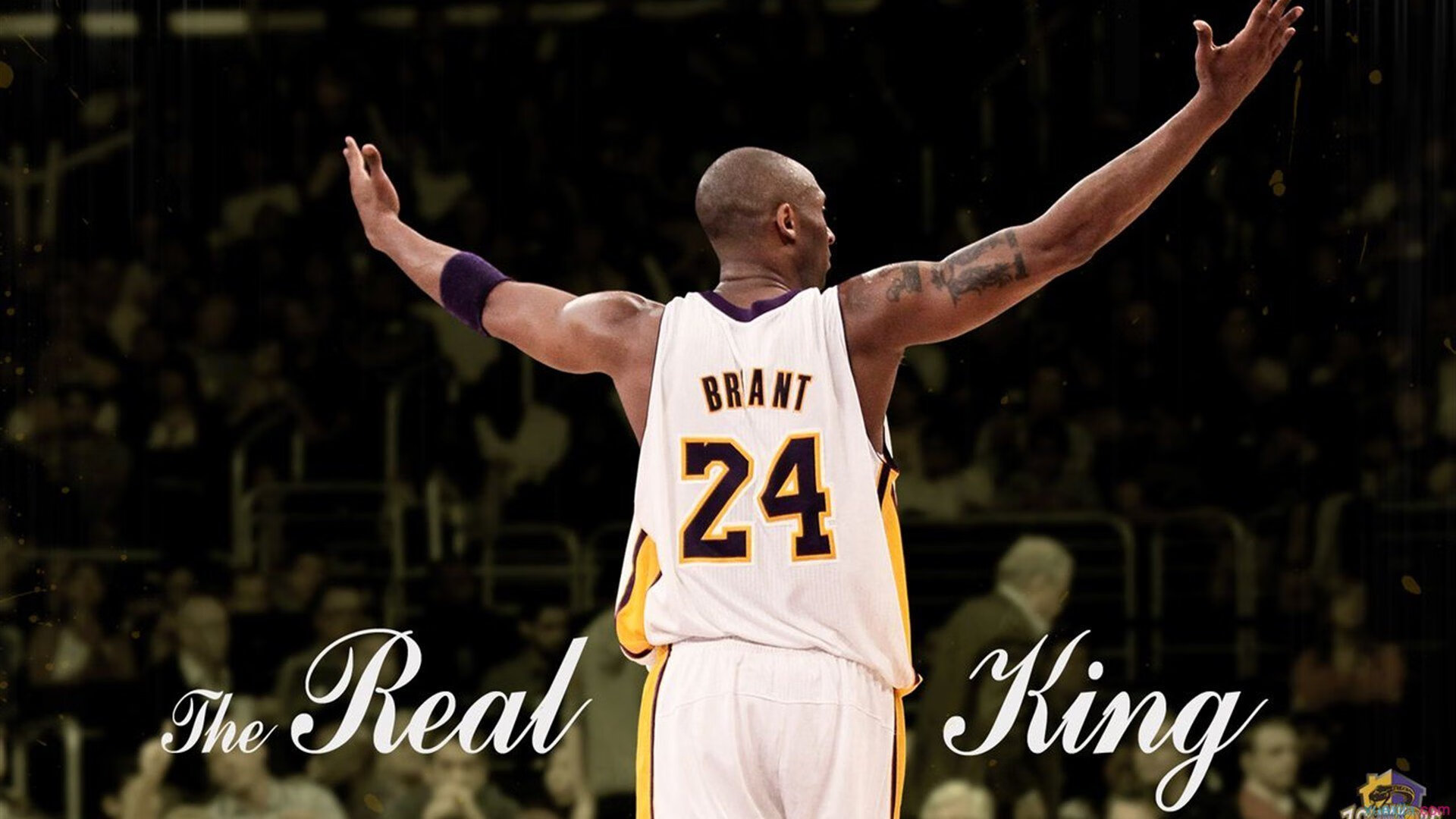 当深圳队淘汰快船，体育叙事中的不可能与哈利伯顿的欧冠启示